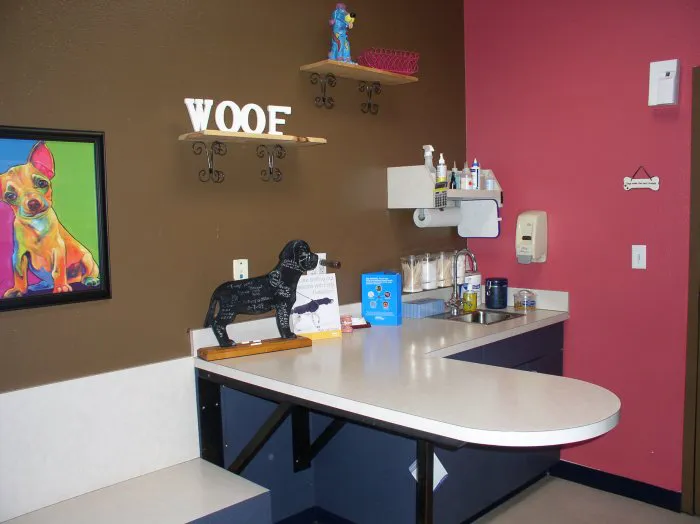 VCA Ben White Animal Hospital 5