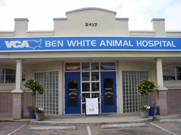 VCA Ben White Animal Hospital 3
