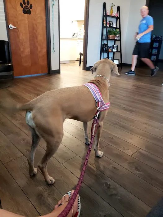 Good Water Animal Hospital 9
