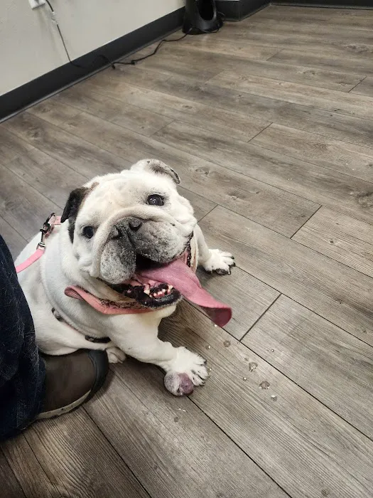Good Water Animal Hospital 10