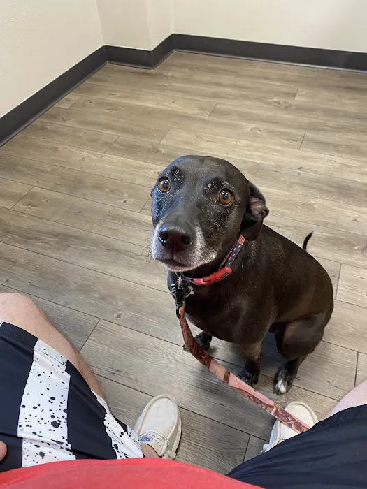 Good Water Animal Hospital 5