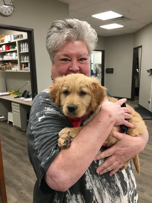 Good Water Animal Hospital 2