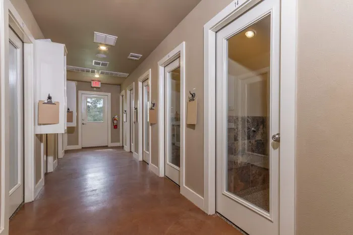Zoot Pet Hospital and Luxury Boarding 12