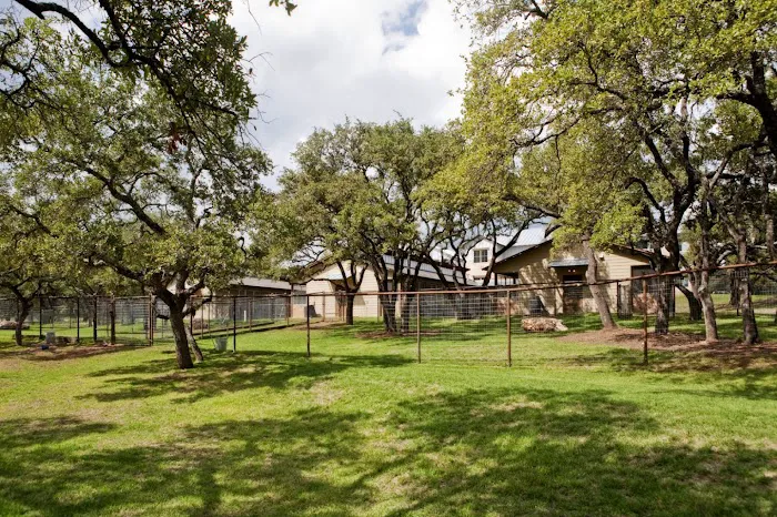 Zoot Pet Hospital and Luxury Boarding 12
