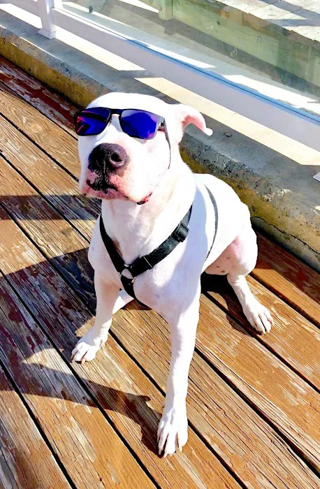 SouthPaw Animal Care 3