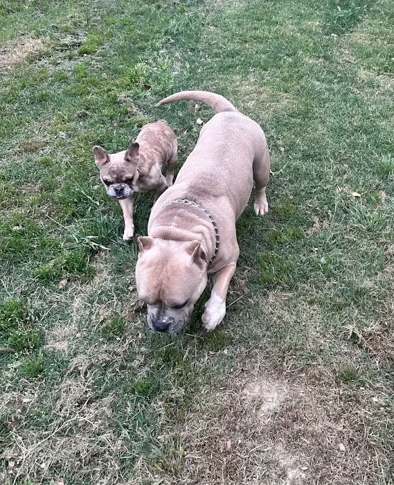 SouthPaw Animal Care 1