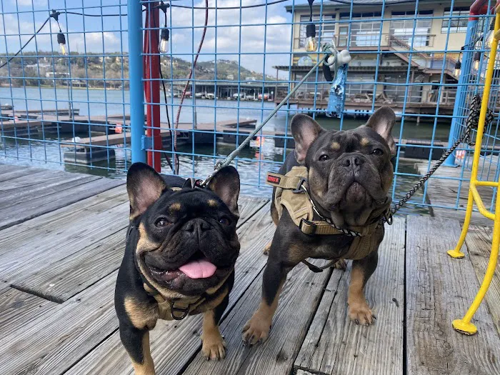 SouthPaw Animal Care 4