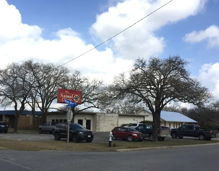 Koy Animal Clinic 12