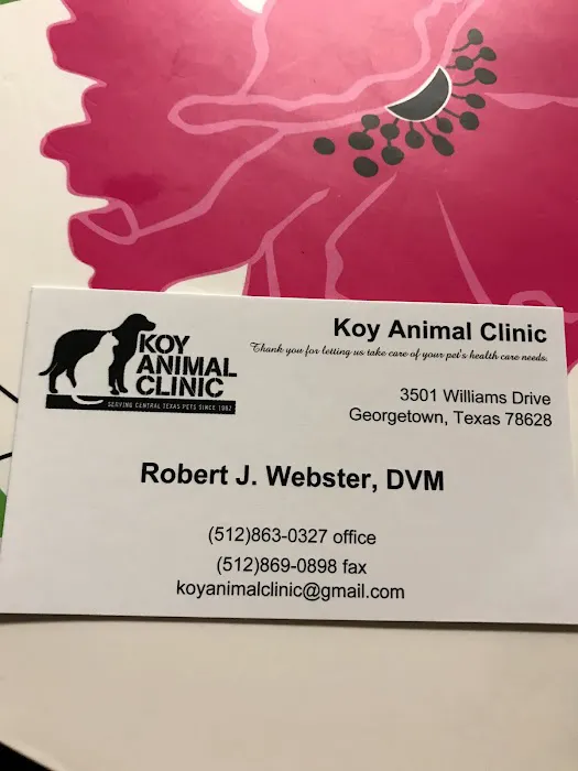 Koy Animal Clinic 12