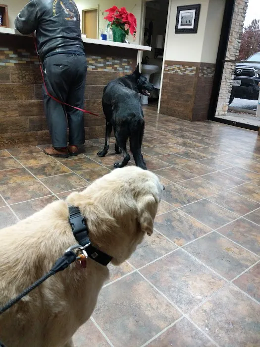Koy Animal Clinic 12