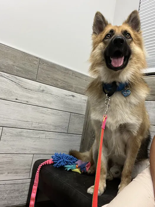 NewDay Veterinary Care 12