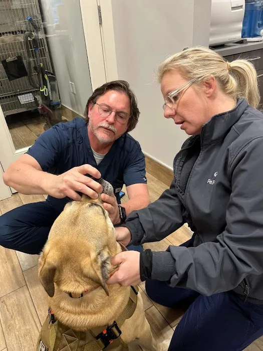 NewDay Veterinary Care 12