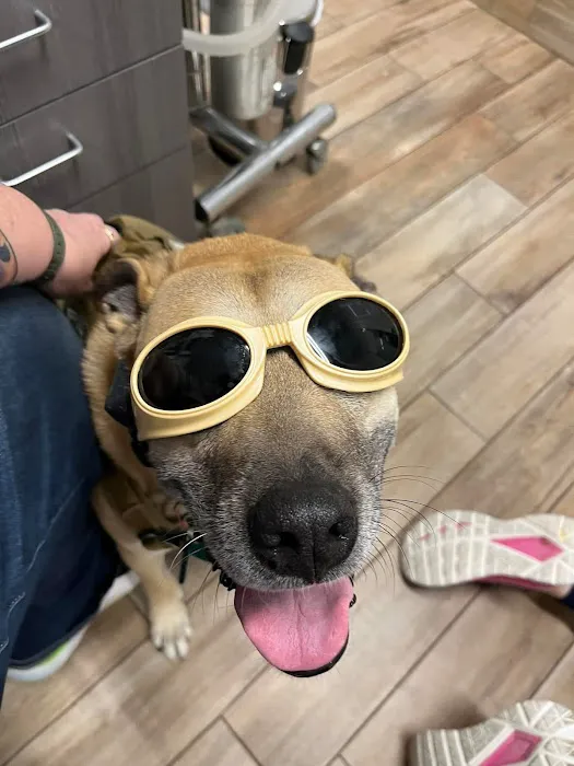 NewDay Veterinary Care 12