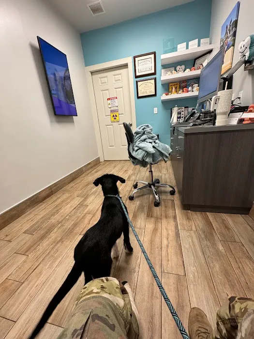 NewDay Veterinary Care 12