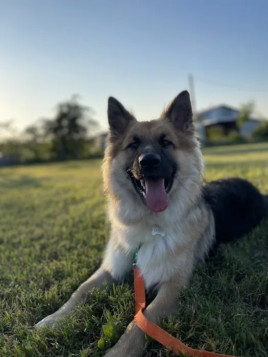 NewDay Veterinary Care 12