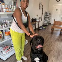 Woof Animal Hospital ico