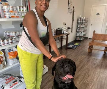 Woof Animal Hospital