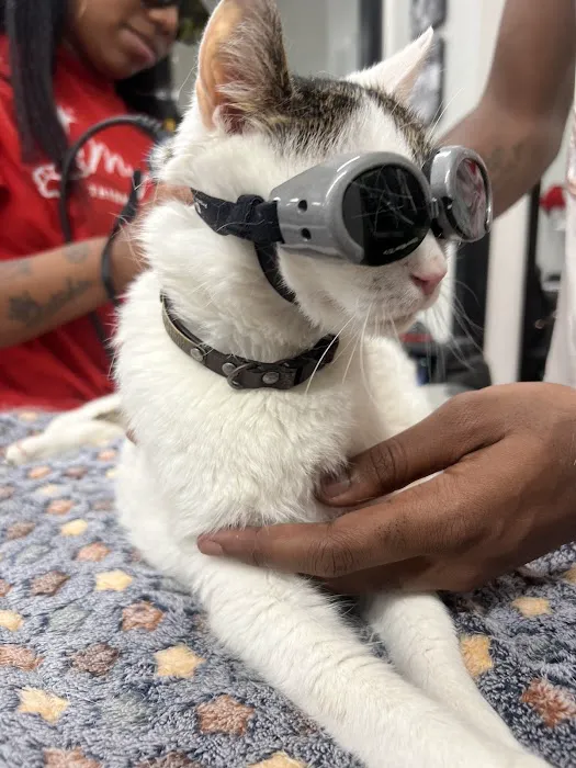 PetSmart Veterinary Services - Georgetown 12