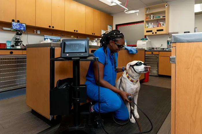 PetSmart Veterinary Services - Georgetown 12