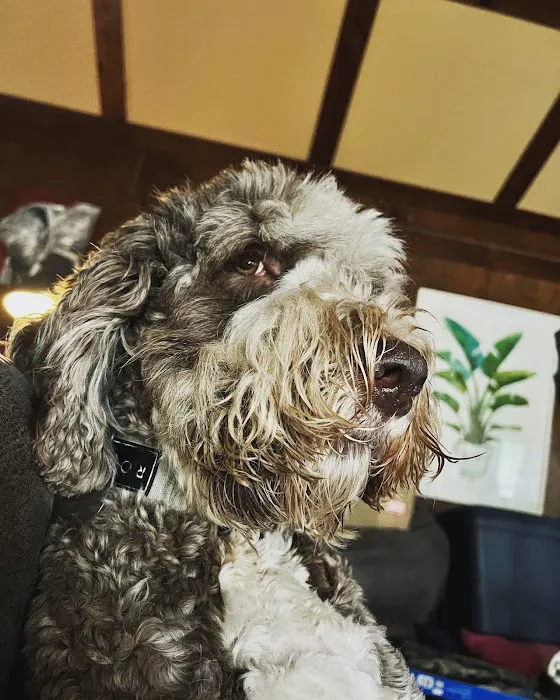 Animal Hospital of Georgetown 12