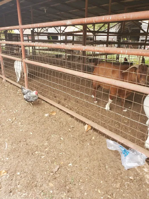 Austin Avenue Animal Hospital 12