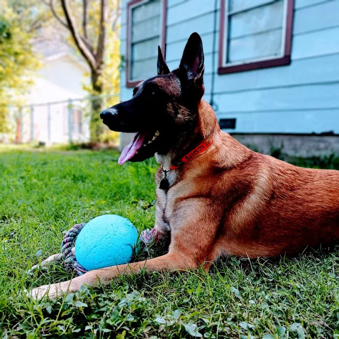 Georgetown Veterinary Hospital 12