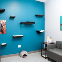 PetVet365 Pet Hospital Leander ico