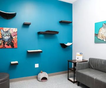 PetVet365 Pet Hospital Leander
