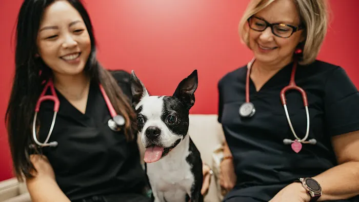 PetVet365 Pet Hospital Leander 2