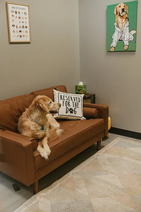 PetVet365 Pet Hospital Leander 8