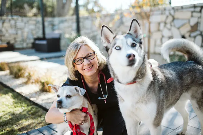 PetVet365 Pet Hospital Leander 4