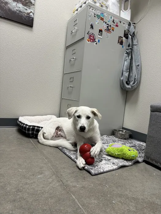 Firehouse Animal Health Center Cedar Park 8