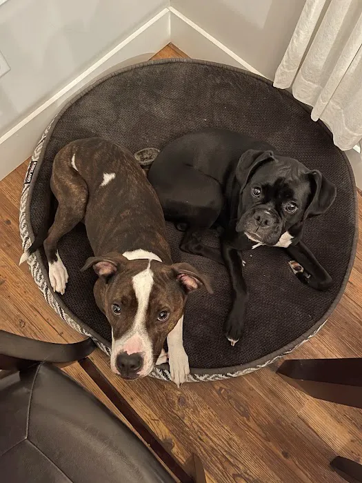 Parmer Lane Pet Hospital 6