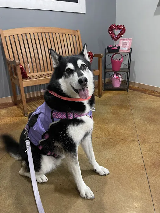 Parmer Lane Pet Hospital 9