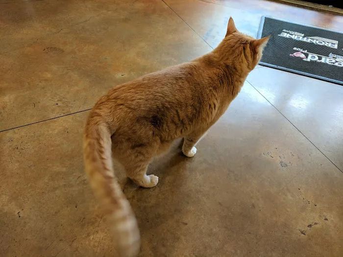 Parmer Lane Pet Hospital 7