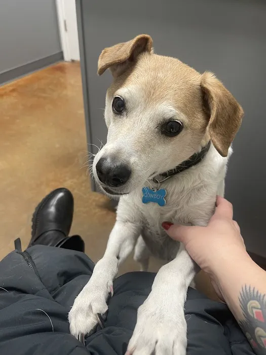 Parmer Lane Pet Hospital 3