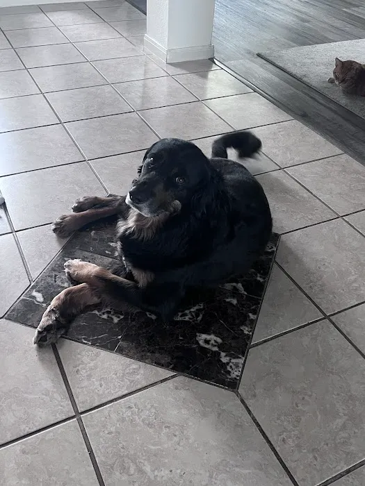 Balcones Animal Hospital Inc 9