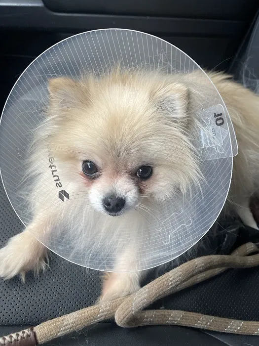 Balcones Animal Hospital Inc 6