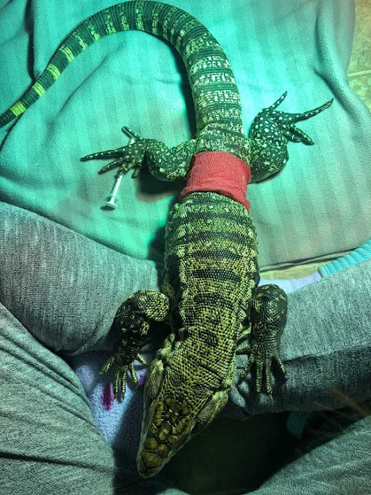 Austin Pet & Exotic Hospital 12