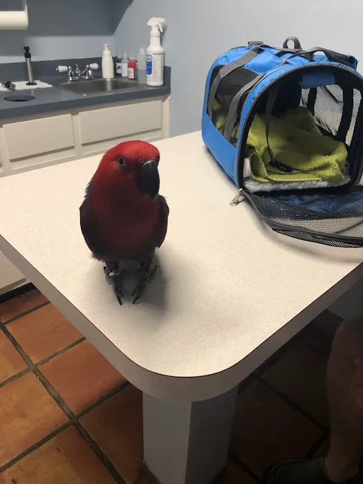 Austin Pet & Exotic Hospital 12