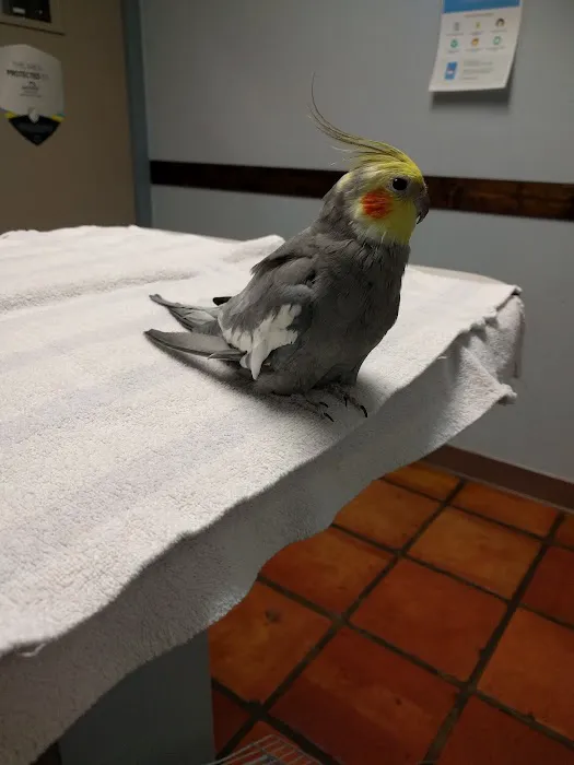 Austin Pet & Exotic Hospital 12