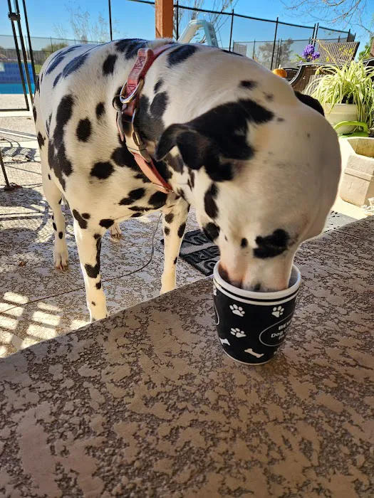 Northwest Austin Veterinary Center 7