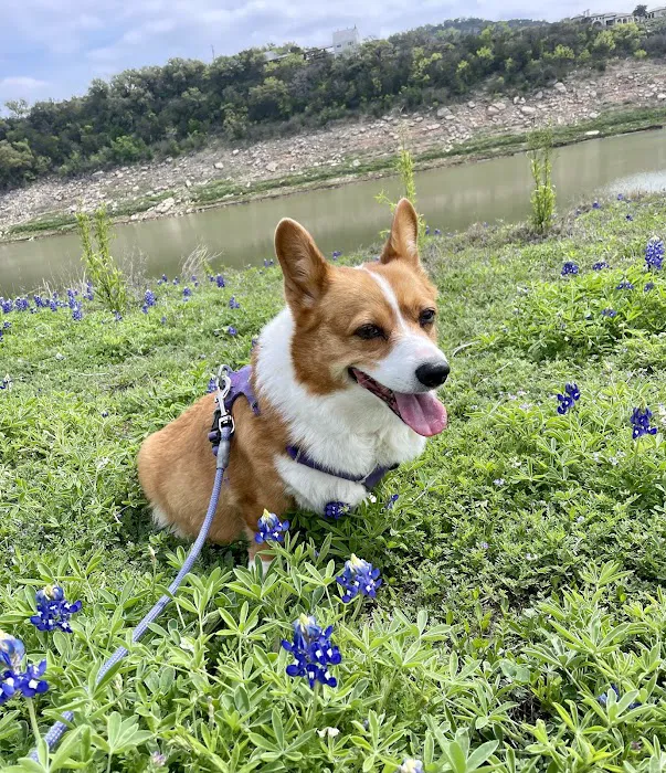 Northwest Austin Veterinary Center 5