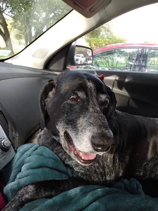 Northwest Austin Veterinary Center 4