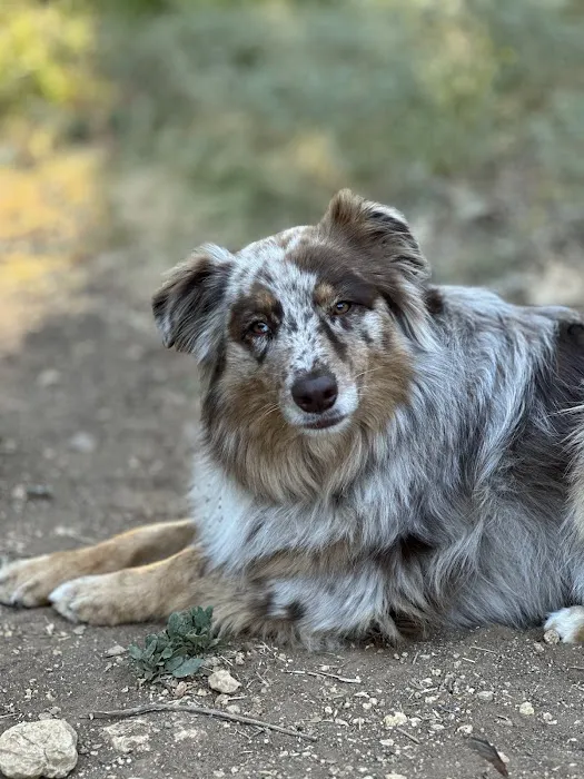 Northwest Austin Veterinary Center 9