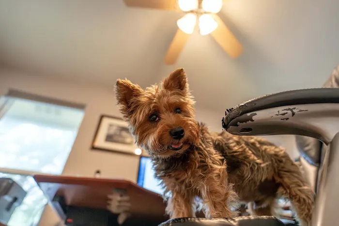 Northwest Austin Veterinary Center 1