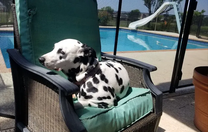 Northwest Austin Veterinary Center 8