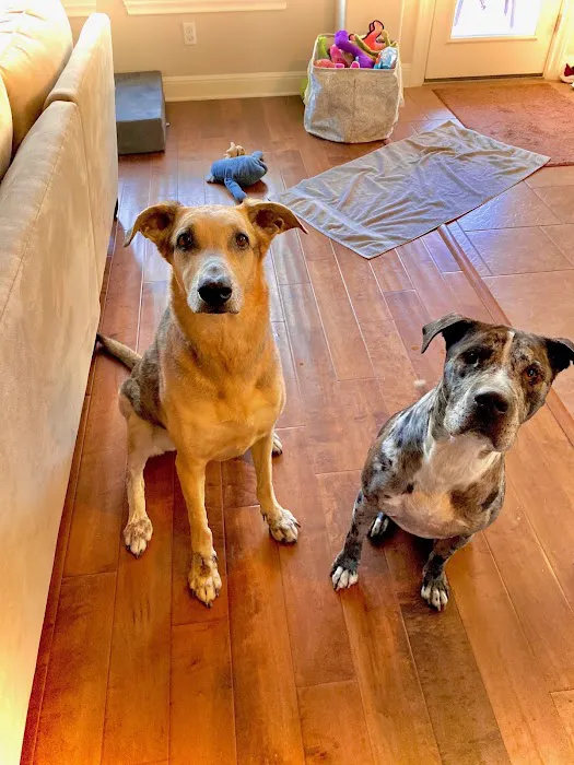 Northwest Austin Veterinary Center 6