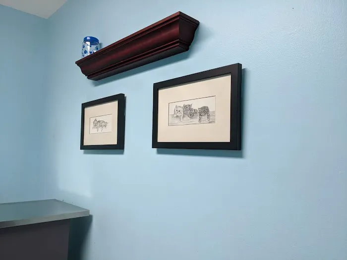Northwest Austin Veterinary: Boston Billie DVM 1