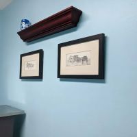 Northwest Austin Veterinary: Boston Billie DVM ico